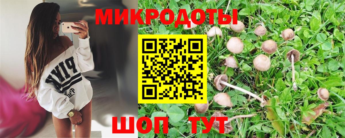 где купить наркоту  Вход с VPN  Сокол  Галлюциногенные грибы мухоморы  Галлюциногенные грибы Psilocybe 